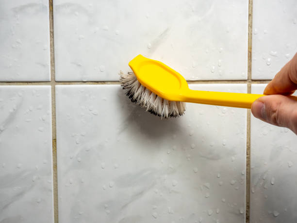 Best Emergency Mold Removal  in Oak Brook, IL