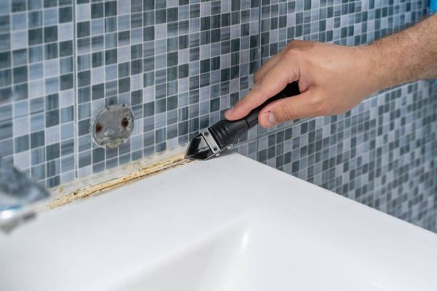 Best Mold Damage Repair  in Oak Brook, IL